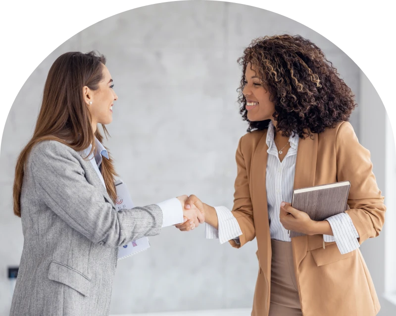 Professional handshake between colleagues